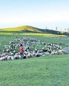 On the Margins: J&K's Tribals Still Fighting for Space25