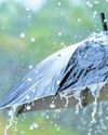 'Kashmir Himalayas See 11mm Annual Rainfall Drop Over 48 Years'24