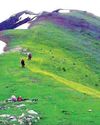 Kashmir Observer