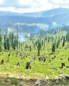 Kashmir Observer