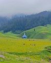 Kashmir Observer