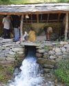 Kashmir Observer
