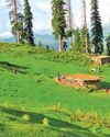 Kashmir Observer
