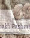 Kashmir Observer