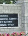Kashmir Observer