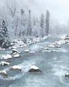 Kashmir Observer