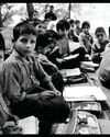 Kashmir Observer