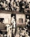 Kashmir Observer