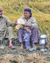 Kashmir Observer