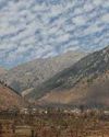 Kashmir Observer