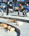 Kashmir Observer