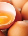 Trust on Eggshells12