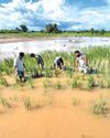 Floods Damage 0.78 Lakh Hectares of Crop Area in J&K: GoI22