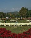 Kashmir Bets Big on Theme Gardens14