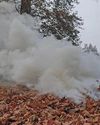 Kashmir's Low AQI Has a Local Source15