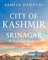 Hamdani Brings City of Kashmir to Life16