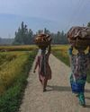 The Long Road to Empowerment24