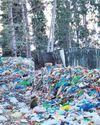 Kashmir Beneath the Plastic Bags Kashmir Beneath the Plastic Bags13
