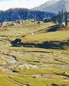 Kashmir Observer