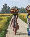 How Quiet Seasonal Livelihoods Power Rural Women's Income4