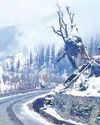 Kashmir Observer