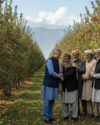Kashmir Observer