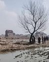 Kashmir Observer