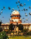 SC to Examine Petitions on Women’s Entry at Religious Sites18