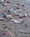 Kashmir's Queen of Wetlands Suffers Human Waste14