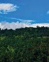 Indian Himalayan Region Loses 2.2% Tree Cover in Two Years: Govt14
