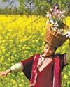 Kashmir Observer