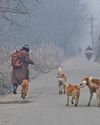 Kashmir Observer