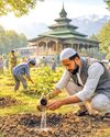Kashmir Observer