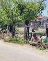 Kashmir Observer