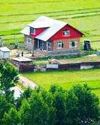 Kashmir Observer