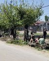 Kashmir Observer