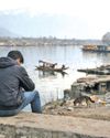 Kashmir Observer