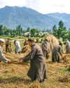 Kashmir Observer