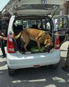 Kashmir Observer