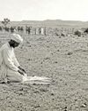 Kashmir’s Forgotten Australians Kashmir’s Forgotten Australians11