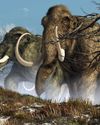 Whether We Should Bring Back the Woolly Mammoth