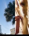Town & Country US