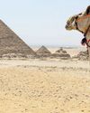 Follow in the Footsteps of Egypt's Kings and Queens