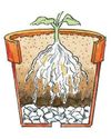 DO YOU HAVE GARDEN QUESTIONS? WE HAVE ANSWERS!