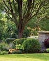 Finding Joy in the Garden