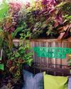 Garden Gate