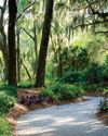NORTH FLORIDA FLORA Horticulture