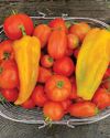 Horticulture