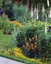 Horticulture