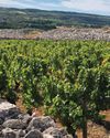 Wine: Are We Losing the Joy? Wine: Are We Losing the Joy?